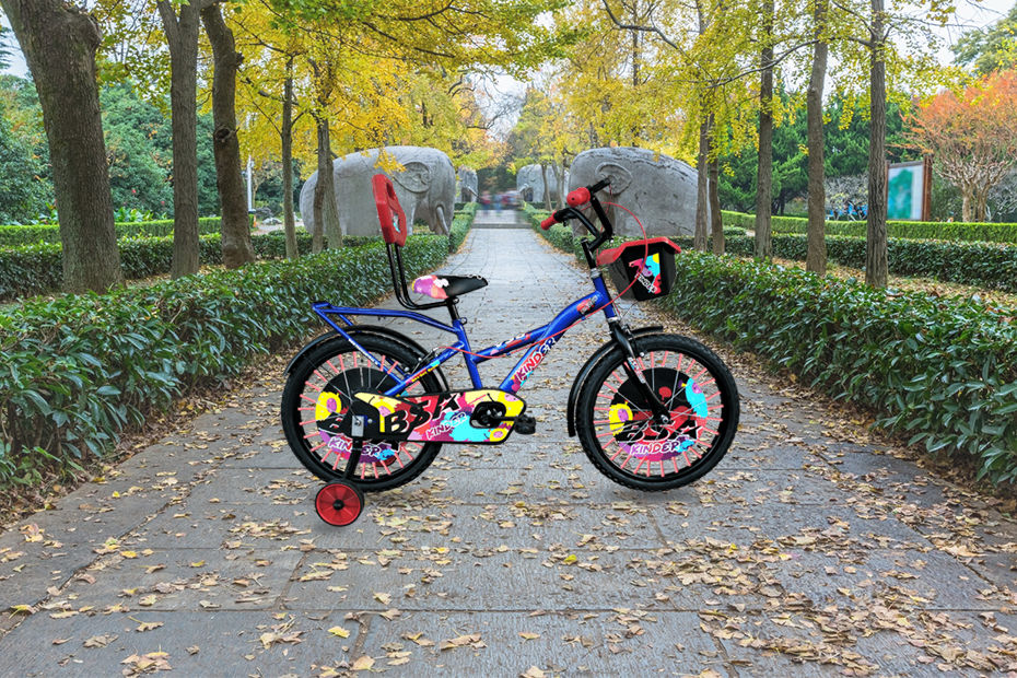 BSA Kinder 20T BSA Kinder 20T